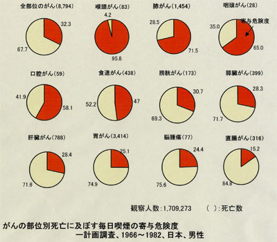 ����̕��ʕʎ��S�ɋy�ڂ������i���̊�^�댯�x