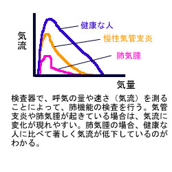 �x�@�\�����ƃt���{�����[���Ȑ�