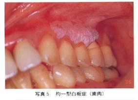 �ψ�^����