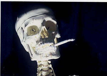 �։��x���l�b�g���[�N